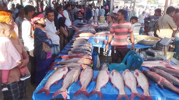 জয়পুরহাটে জামাইদের নিয়ে মাছের মেলা